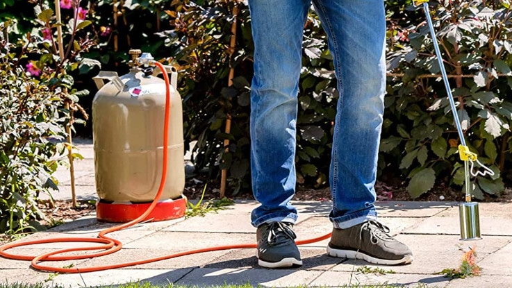 Comparatif meilleur désherbeur thermique