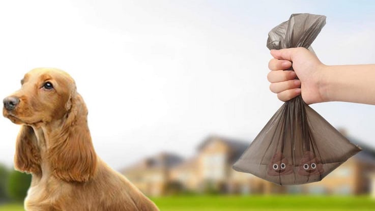 Guide complet pour choisir les meilleurs sacs à déjections canines ! Comparatif meilleur sac à déjection canine