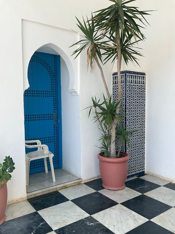 variété palmier intérieur